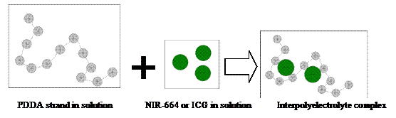 Text Box:
PDDA strand in solution NIR-664 or ICG in solution Interpolyelectrolyte complex