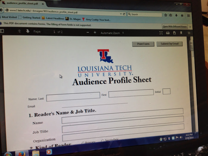Audience Profile
          Sheet