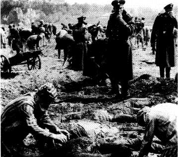 Image of bodies being exhumed.