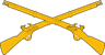 infantry_crossed_rifles