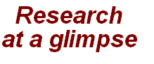 Research 
at a glimpse 