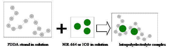 Text Box:  
    PDDA strand in solution              NIR-664 or ICG in solution           Interpolyelectrolyte complex


