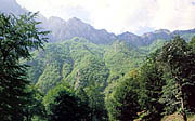 Mountain Tara - National Park
