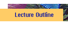 Lecture Outline