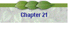 Chapter 21