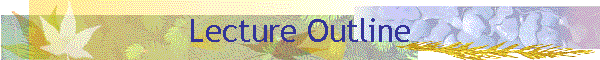 Lecture Outline