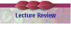 Lecture Review