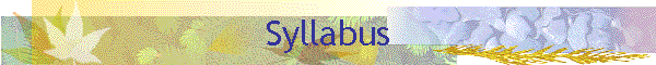 Syllabus